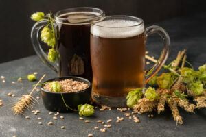 Le secret d’une bonne bière : zoom sur le choix du malt