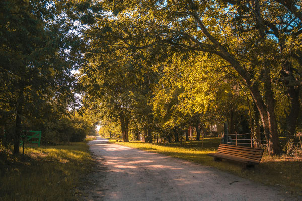 le-chemin-des-pauses